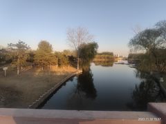 -大兴滨河森林公园