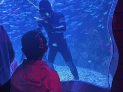 -太平洋海底世界餐厅