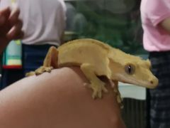 -藦茜花园宠物主题亲子互动体验馆(国顺东路店)