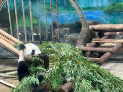 -杭州动物园