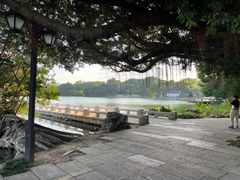 -西湖公园(鼓楼区)