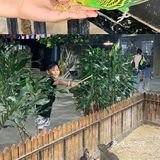 🉑爱治愈系小动物谁能不爱？周末亲子游宝藏地，济南萌宠乐园