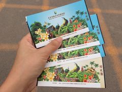 -北京呀路古热带植物园