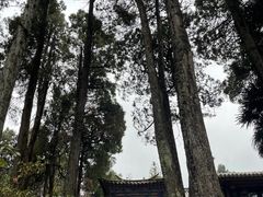 -寂照庵