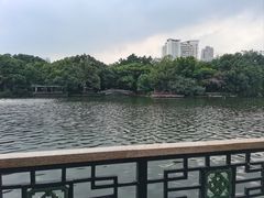 -荔湾湖公园