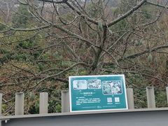 -福道