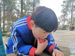 -大金鹰园