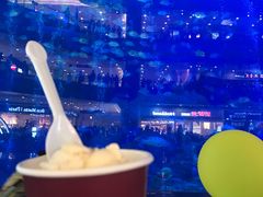 -成都浩海立方海洋公园