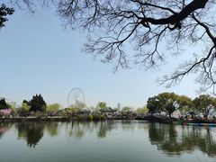 -无锡蠡湖国家湿地公园-蠡园