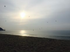 -海云台海滩
