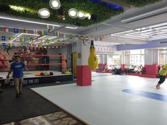 -津武堂散打搏击俱乐部(河西店)