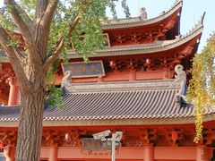 -上海东林寺(金山区)