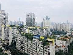 -碧桂园嘉誉