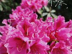 -名花谷生态庄园