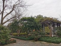 -东山雕花楼