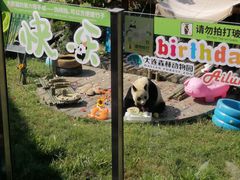 -大连森林动物园