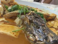 -煲来饱去冷水鱼