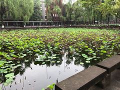 -四川大学(望江校区)