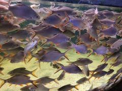 -多彩贵州城极地海洋世界