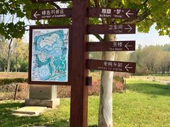 -武清南湖绿博园