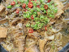 -老板恋上鱼(恒隆广场店)