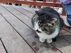 -终南山南五台景区