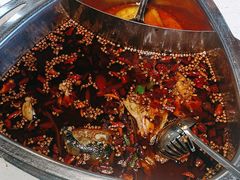 -蛙佬哥美蛙鱼火锅(新一中店)