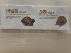 -衢州市博物馆