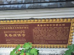 -西双版纳傣族园-曼春满佛寺