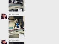 -宠颐生东兴动物医院(大悦城店)