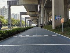 -宝安西湾红树林湿地公园