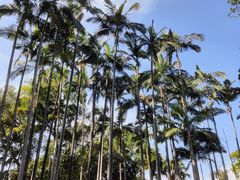 -人民公园(罗湖区)