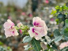 -人民公园(罗湖区)