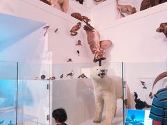 -墨尔本博物馆(Melbourne Museum)