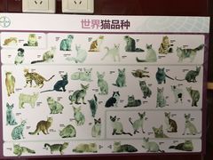 -纳吉亚猫专科动物医院博雅分院