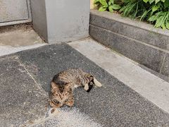 -颐和路民国时期公馆风貌区