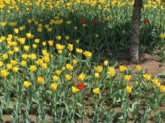 -长春公园(普阳街道)