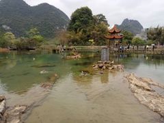 -靖西鹅泉风景区