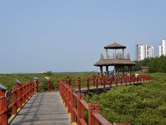 -北海金海湾红树林生态旅游区