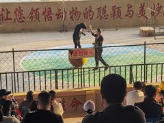 -东方熊牧场