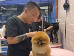 -FAELING PETS美天灵宠物(富力广场店)
