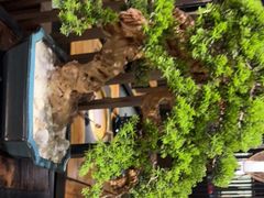 -湊湊火锅·茶憩(东城万达店)
