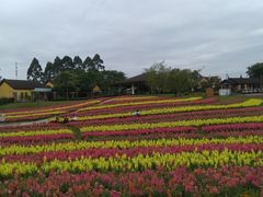 -保利石象湖景区