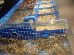 -锅儿欢海鲜火锅烤肉自助餐(东港凯虹店)