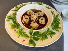 小青龙-子福慧(虹桥店)