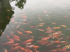 -河北村民俗体验园