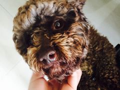 -大地影院(上海南汇店)