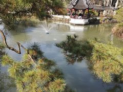 -上海醉白池公园