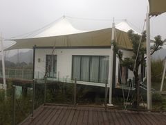 -帐篷客·溪龙茶谷度假酒店