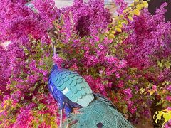 -嘉华鲜花饼·现烤(昆明老街店)